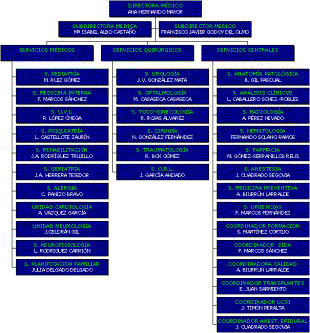 Organigrama Direccin Mdica